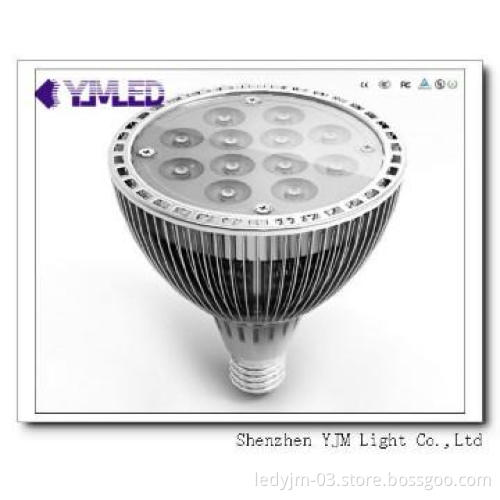 15W Par38 led lighting , 12 pcs led quantity,E27 lamp base,CE&ROHS
